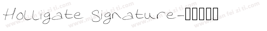 Holligate Signature字体转换